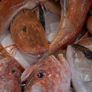 Venice Tour_090_2018_05_03_4067.jpg