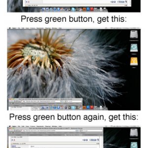 Safari Green Button copy.jpg