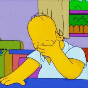 facepalm homer.jpg