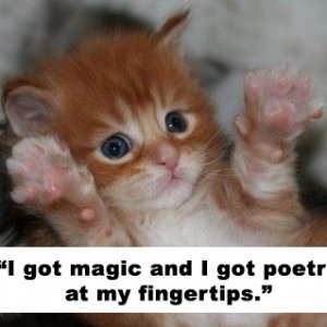 magic and poetry.jpg