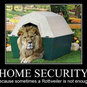 Lion-Security.png