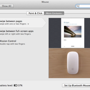 OS X Lion Mouse settings.png