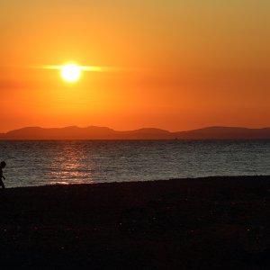 sunsets silhoette.jpg