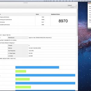 Screen Shot geekbench server.jpg