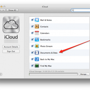 icloud_prefs.png