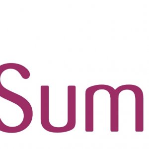 Ann_Summers_logo.JPG