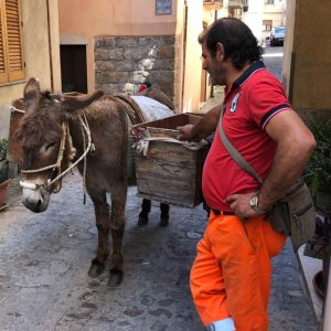 Italy 2018.05.09-2018.06.03 IPx_6236.jpg