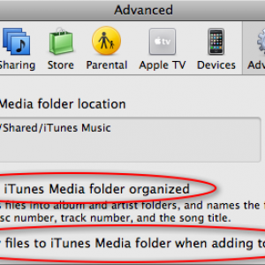 iTunes > Preferences > Advanced > organize & copy checkboxes.PNG