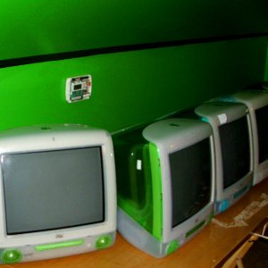 iMac G3's.JPG