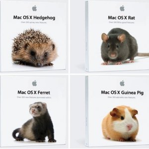 alternate-mac-os-x-names.jpeg