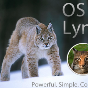 OS X Lynx.png