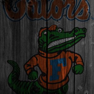 dark-wood-iphoneGators.jpg