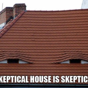 skeptical house.jpg