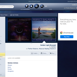 Pandora Radio - Listen to Free Internet Radio, Find New Music.png