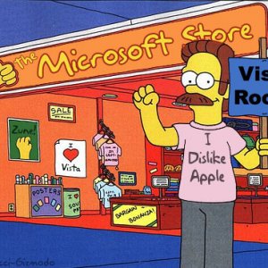 Flanders_Microsoft_Store.jpg