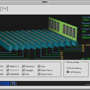 TTP309 RAM All Enabled.jpg