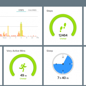 fitbit-dashboard.png