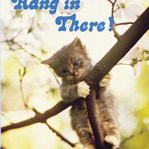 hang_in_there_kitty-thumb-250x332.jpg