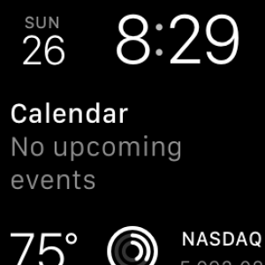 Apple Watch Face.PNG