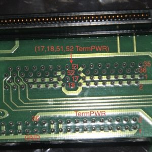 XPL-065-C 50 68 80 SCA SCSI Bottom.jpg