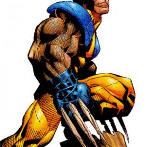 wolverine.jpg