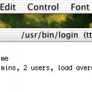 terminal_uptime.jpg