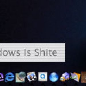 windows.jpg