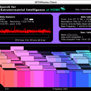 setiosx.gif