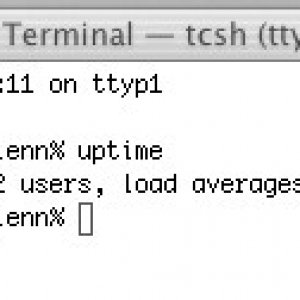 terminal.jpg