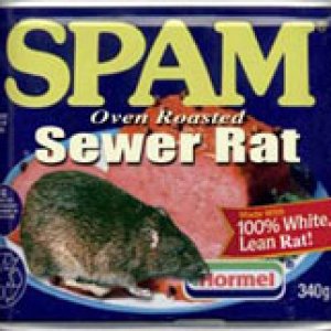 spam copy.jpg