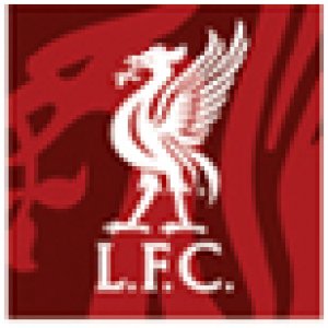 liverbird.jpg