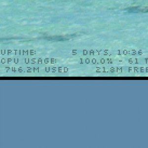 uptime.jpg