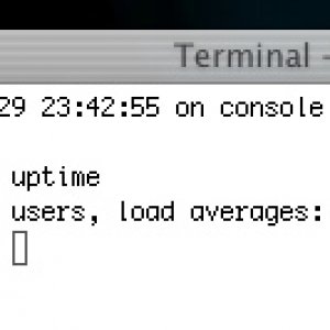 uptime.jpg