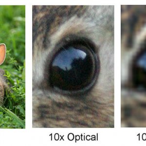 digital_zoom_vs_optical_zoom.jpg