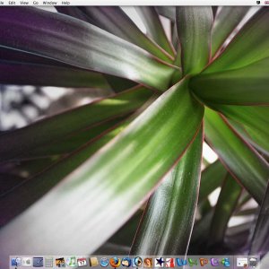 desktop.jpg