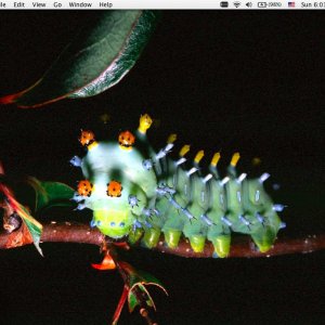 May Desktop.jpg