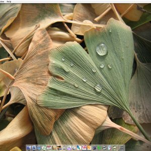 August Desktop.jpg