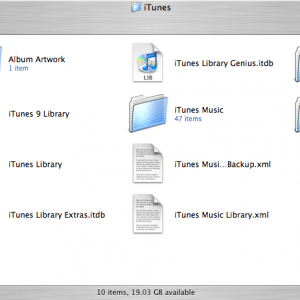 Bro's Music Folder.png