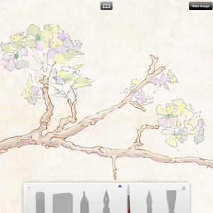 branch with tools-1024.png