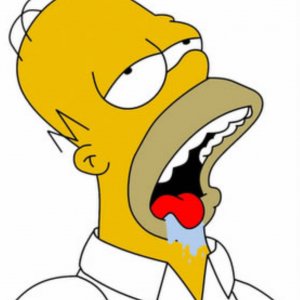 homer-simpson-drooling a.jpg