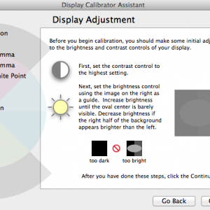 Dell Calibrate.png