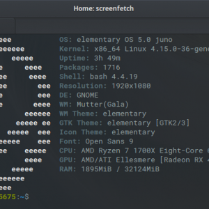 screenshotofscreenfetch.png