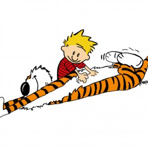 Calvin and Hobbes 11.09.16.jpg