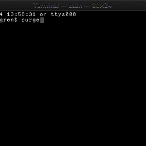 Terminal — bash — 80×24.png