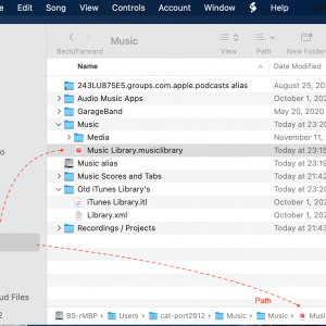 Music Folder and Library.png
