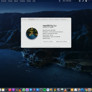 Big Sur 11.0.1 (20B29) cloned  on iMac2013png.png