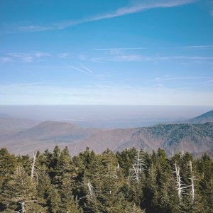 Clingmans_Dome_02.jpg