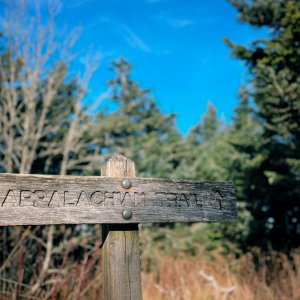 Clingmans_Dome_03.jpg