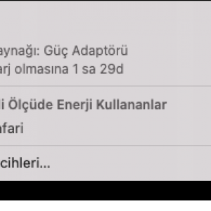 Ekran Resmi 2020-11-23 13.41.26.png