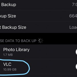 Exclude Files - iPhone Backup.jpg